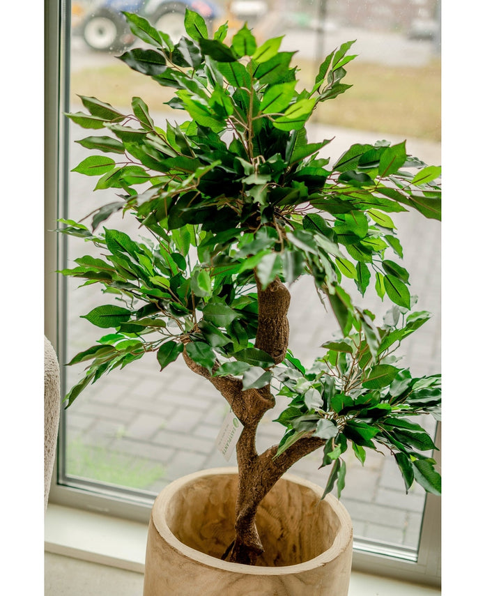 Kunstplant Ficus Crazy 120 cm