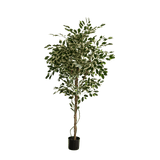De Kunstplant Ficus Exotica 165 cm heeft bonte groene en witte bladeren aan meerdere slanke takken in een eenvoudige zwarte pot, tegen een effen witte achtergrond.
