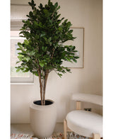 Kunstplant Ficus Groen 210 cm