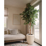 Een moderne woonkamer met een beige bank, een kussen met strepen, abstracte muurkunst, een vloerkleed met patronen, een raam van vloer tot plafond met transparante gordijnen die natuurlijk licht binnenlaten en een Kunstplant Ficus Groen 210 cm.