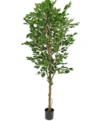 Kunstplant Ficus Groen 240 cm