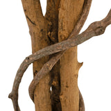 Een close-up van de Kunstplant Ficus Groen/wit 90 cm toont de bruine takken met een liaan die eromheen kronkelt, tegen een witte achtergrond.