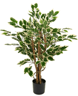 Kunstplant Ficus Groen/wit 90 cm