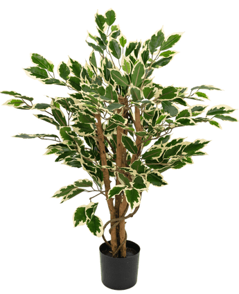 Kunstplant Ficus Groen/wit 90 cm