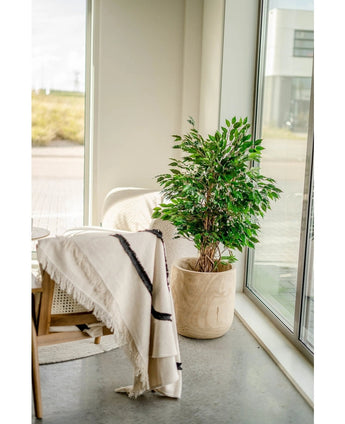 Kunstplant Ficus Liana 120 cm