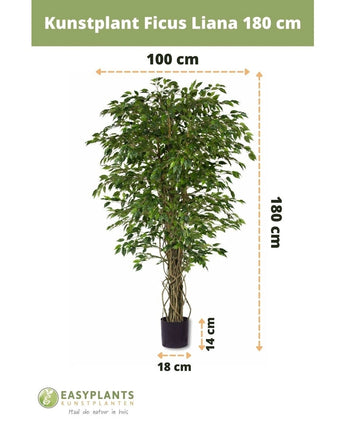 Kunstplant Ficus Liana 180 cm