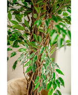 Kunstplant Ficus Liana 180 cm