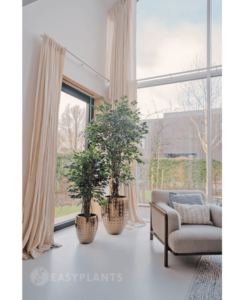 Kunstplant Ficus Liana 180 cm