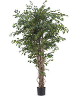 Kunstplant Ficus Liana 180 cm