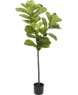 Kunstplant Ficus Tabaksplant Deluxe 155 cm