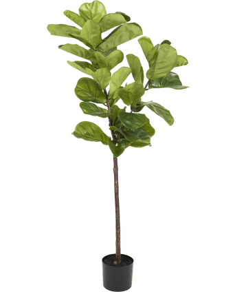 Kunstplant Ficus Tabaksplant Deluxe 155 cm