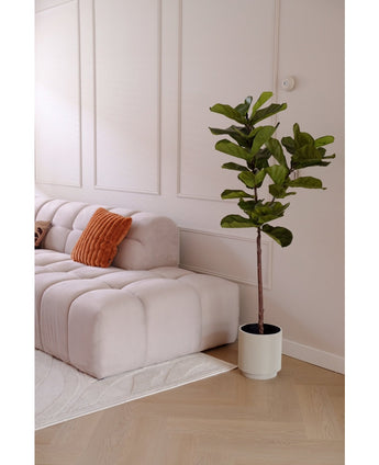 Kunstplant Ficus Tabaksplant Deluxe 155 cm
