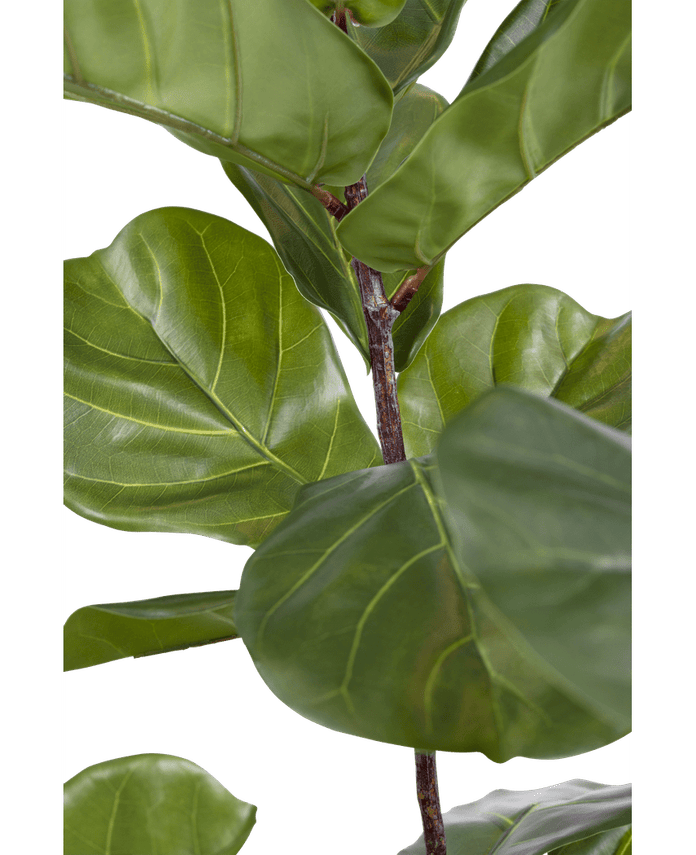 Kunstplant Ficus Tabaksplant Deluxe 180 cm