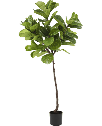 Kunstplant Ficus Tabaksplant Deluxe 180 cm