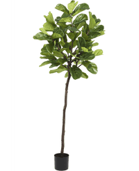 Kunstplant Ficus Tabaksplant Deluxe 215 cm