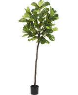 Kunstplant Ficus Tabaksplant Deluxe 215 cm