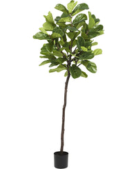 Kunstplant Ficus Tabaksplant Deluxe 215 cm