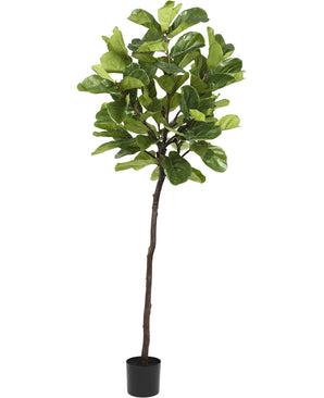 Kunstplant Ficus Tabaksplant Deluxe 215 cm