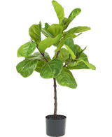 Kunstplant Ficus Tabaksplant Deluxe 90 cm