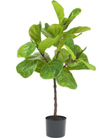 Kunstplant Ficus Tabaksplant Deluxe 90 cm