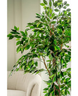 Kunstplant Ficus Tropical Liana 180 cm