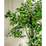 De Kunstplant Ficus Tropical Liana 180 cm, met meerdere takken, staat naast een lichtgekleurde gestoffeerde stoel in een lichte, zacht verlichte kamer.