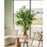 Een gezellige woonkamerhoek met een Kunstplant Ficus Tropical Liana 180 cm bij het raam, een zachte witte fauteuil, een houten stoel met kussen en twee kleine ronde houten tafeltjes met kopjes en een kan.