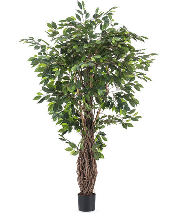 Kunstplant Ficus Tropical Liana 180 cm