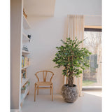 Een houten stoel en de Kunstplant Ficus Tropisch Liana 150 cm staan bij een boekenplank en een raam met gordijnen in een lichte, minimalistische kamer - ideaal voor kantoor decoratie.