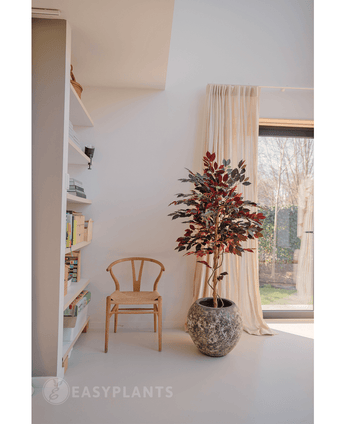 Kunstplant Ficus groen/rood 150 cm