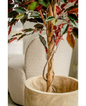 Kunstplant Ficus groen/rood 150 cm