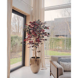Een Kunstplant Ficus groen/rood 180 cm brandvertragend met donkergroene en rode bladeren staat bij een groot raam met crèmekleurige gordijnen in een lichte, moderne woonkamer naast een beige bank met gedessineerde kussens. Buiten zijn bomen en een huis zichtbaar.