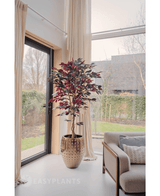 Kunstplant Ficus groen/rood 180 cm brandvertragend