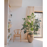 Een Kunstplant Fishtail Palm 160 cm staat in een goudkleurige pot met textuur naast een houten stoel in een lichte, minimalistische kamer met witte muren, boekenplanken en transparante gordijnen bij het raam.