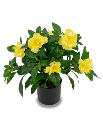 Kunstplant Gardenia 39 cm