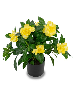 Kunstplant Gardenia 39 cm