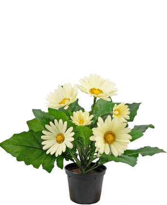 Kunstplant Gerbera 28 cm wit