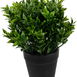 De Kunstplant Groen 20 cm in pot is een weelderig groene kunstplant met kleine puntige blaadjes in een eenvoudige zwarte pot, perfect om levendig groen toe te voegen aan je ruimte.