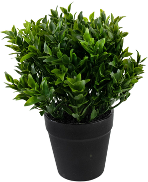 Kunstplant Groen 20 cm in pot