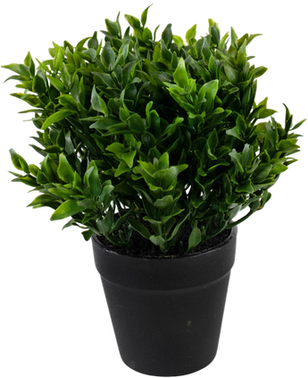 Kunstplant Groen 20 cm in pot