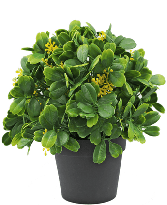 Kunstplant Groen/wit 21 cm UV