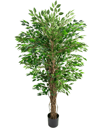 Kunstplant Hawaiian Ficus Liana 150 cm