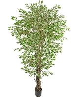 Kunstplant Hawaiian Ficus Liana 180 cm