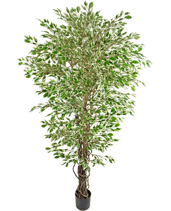 Kunstplant Hawaiian Ficus Liana 180 cm