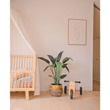 Een minimale kinderkamer met een licht houten wiegje, Kunstplant Heliconia 110 cm, houten speelgoed en eenvoudige muurkunst in een lichte, opgeruimde kamer - perfecte inspiratie voor kleine ruimtes inrichting.