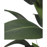 Close-up van grote, overlappende donkergroene bladeren met zichtbare nerven van de Kunstplant Heliconia 180 cm, tegen een witte achtergrond - ideaal voor iedereen die kunstplanten wil kopen of zijn decor wil verfraaien met een heliconia kunstplant.