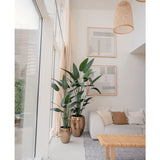 Een lichte, moderne woonkamer met grote ramen, meubilair in neutrale tinten, twee Kunstplant Heliconia 180 cm in goudkleurige potten met textuur, een geweven salontafel, minimalistische muurkunst en natuurlijk licht dat de ruimte vult.