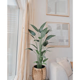 De Kunstplant Heliconia 180 cm in een goudkleurige plantenbak staat bij een raam met transparante gordijnen, naast een witte bank. Twee abstracte kunstwerken hangen erboven - perfect voor wie een kunstplant wil kopen.