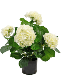 Kunstplant Hortensia 43 cm wit