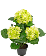 Kunstplant Hortensia Groen 35 cm